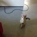 Ian Grimm - Facebook