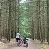 Ian Hadley - @ian.hadley - TikTok