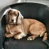ianhadley - @ianhadley - TikTok
