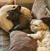Ian Haley - Facebook