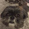 Ian Hamill - @ian.hamill - TikTok