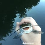 Ian Hanks - @ianhanks477 - Instagram