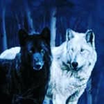 ian harbin - @ianharbin123 - Instagram