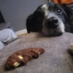 Ian Harry Henderson Allison - @harry_henderson_littlefoot - Instagram