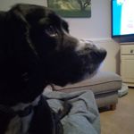 Ian Hatton - @hatton711 - Instagram