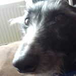 Ian Hatton - @hatton8769 - Instagram
