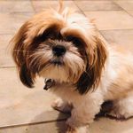 Ian Hatton - @hatton4870 - Instagram