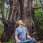 Ian Hawks - @hawksofferings - Instagram