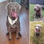 Ian Hawksey - @ianhawksey - Instagram