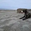Ian Healy - @ian.rebalstaffie - TikTok