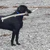 ianwheaton575 - @ianwheaton575 - TikTok