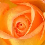 Ian Helms - Facebook