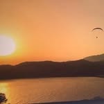 Ian Hendry - @ianghendry1 - Instagram