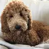 Ian Hendry - @ian.hendry2 - TikTok