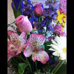 Ian_Hester_ - @ian_hester_f - Instagram