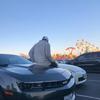 Ian.Hesterrr - @ian.hesterrr - TikTok