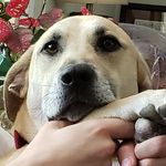 Ian Hines - @ian.hines.121 - Instagram