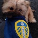 Ian Hobson - @ian.hobson - Instagram