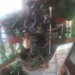 ianholness - @ianholn - Instagram