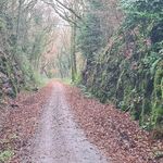 Ian Horton-Plant - @ianhortonplant - Instagram