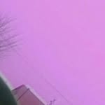 Хаус - @russ.ianhouse - Instagram