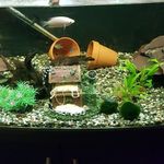 Ian Hutton - @hutton3139 - Instagram