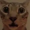 Ian - @ian_idek - TikTok