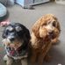 Ian Irving - Facebook