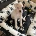 Ian Irwin - Facebook