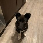Ian Irwin - @notianirwin - Instagram