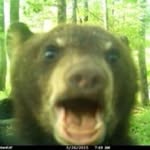 ian robin irwin - @robbitobbit - Instagram