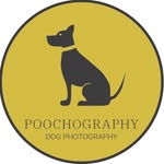 Ian Jeffery - @poochographyuk - Instagram