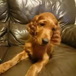 Ian Jeffery - @ian.jeffery.961 - Instagram