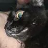 Ianjeffery22 - @ianjeffery22 - TikTok