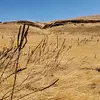 ian_johnson - @monkey_man77771 - TikTok