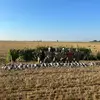 ianjohnson780 - @ianjohnson780 - TikTok