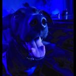 Ian Jolly - @onflames1 - Instagram