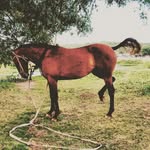 Ian Jordan - @ian.jordan.754703 - Instagram