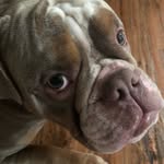 Ian Jordan - @ianjordan6 - Instagram