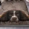 Ian Kaye - @ian.kaye - TikTok
