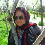 @khadanahmadianpour - Instagram