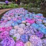 khadanahmadianpour - @khadanahmadianpour2238 - Instagram