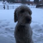 Ian Kilty - Facebook