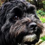 Ian Kinnear - @billybond2020 - Instagram