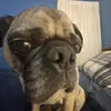 gheie - @iankinneystudent - TikTok