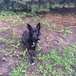 Ian Klinger - @ian.klinger - Instagram