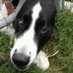 Ian Koerner - @ian.koerner - Instagram