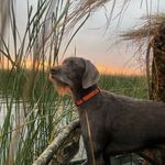 Ian krantz - @ian_krantz - Instagram