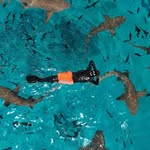 Ian Kwok - @iankkl - Instagram