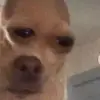 Ian - @iankyle522 - TikTok